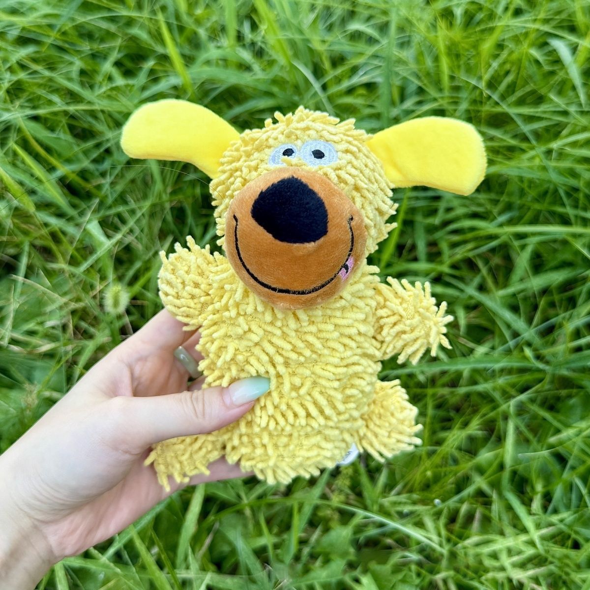 Squeaky Dog Plush Toy