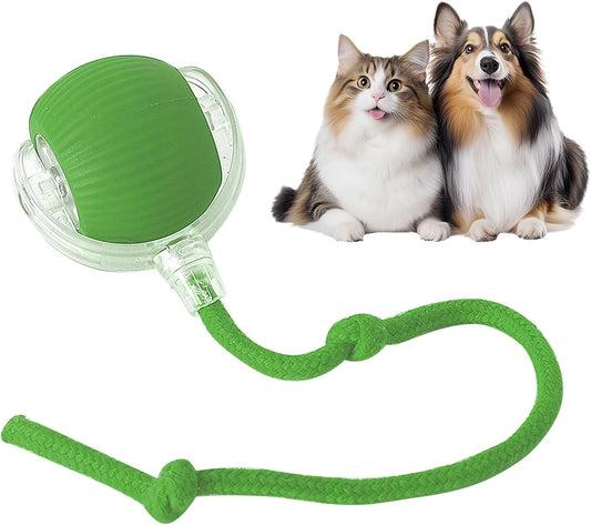 Interactive pet toy ball