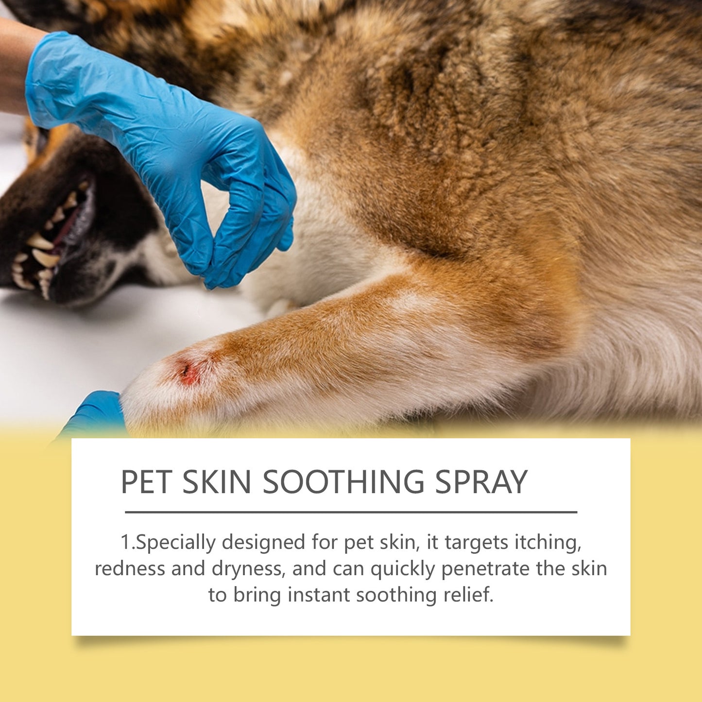 Pet Skin Treatment Spray for Fungal & Bacterial Infections